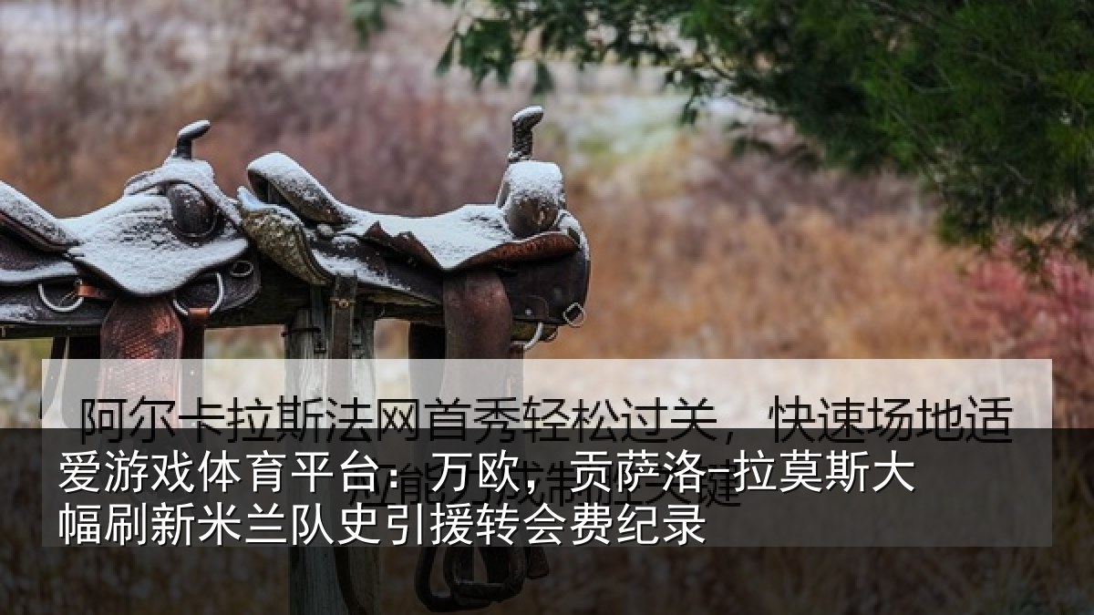 爱游戏体育平台：万欧，贡萨洛-拉莫斯大幅刷新米兰队史引援转会费纪录